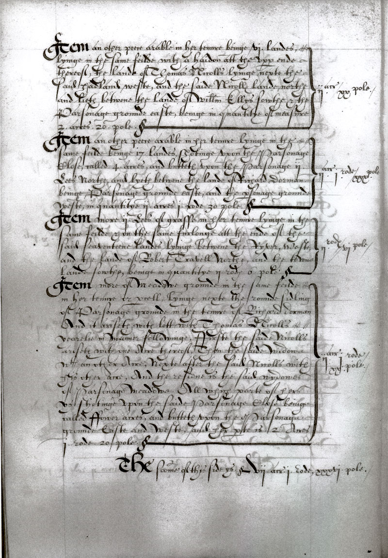 1599 Terrier page 8