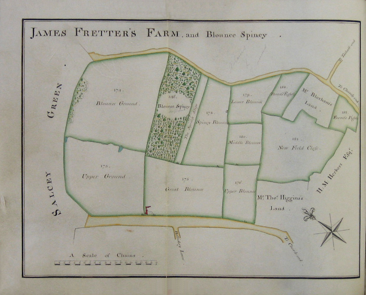 1779 Watts Survey page 11