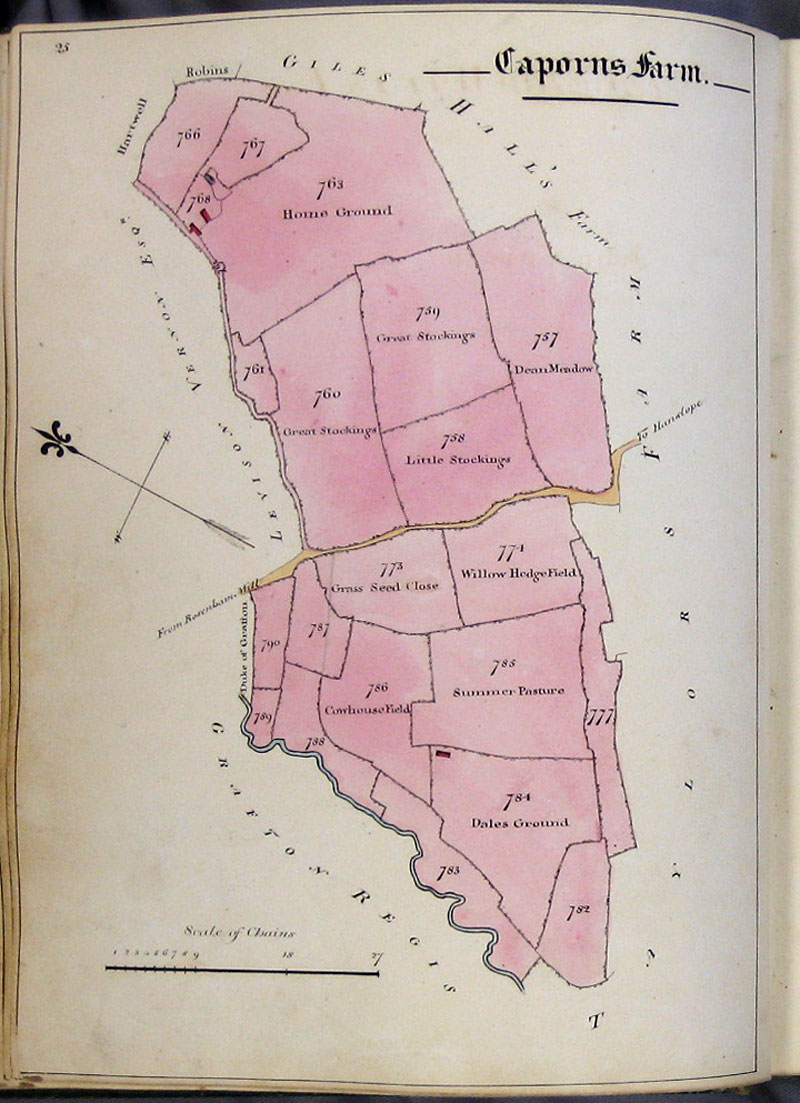 1818 Watts Survey page 25