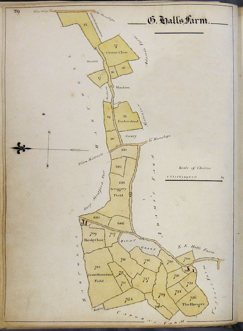 1818 Watts Survey page 29