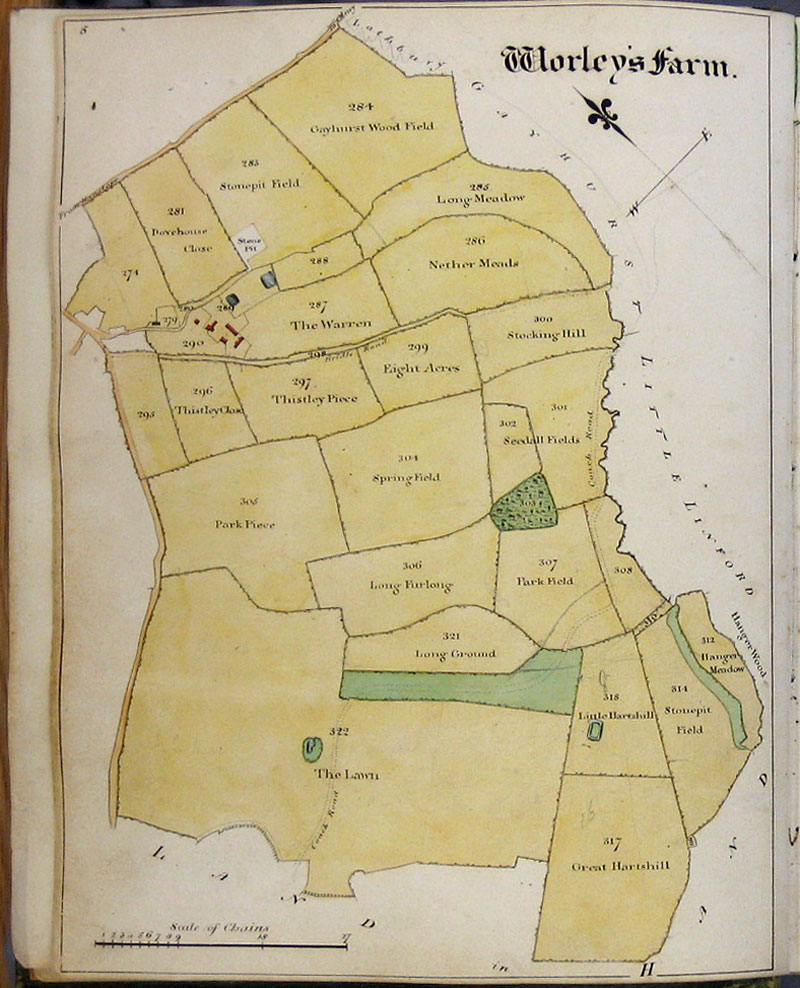 1818 Watts Survey page 5